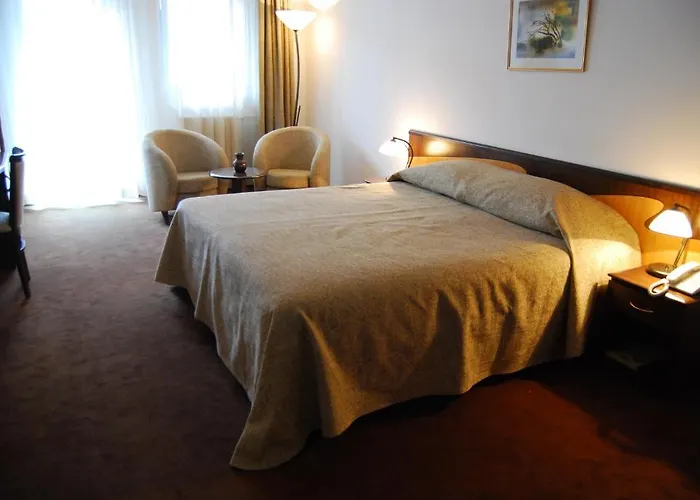 酒店 玛利亚酒店 3*